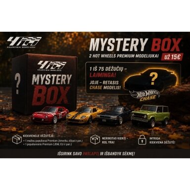 Hot Wheels Premium MYSTERY BOX (two premium models)